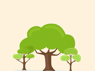 Dona a un progetto di riforestazione